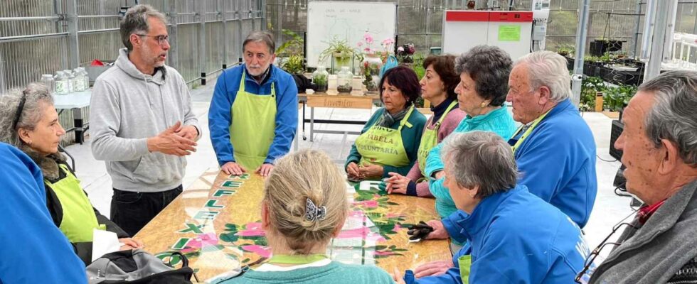 Oscar soigne vos plantes dans son hopital pepiniere de