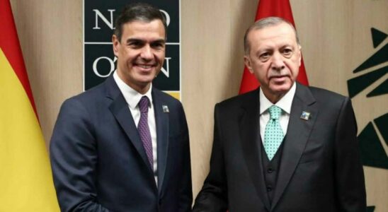 Pedro Sanchez rencontrera le president turc Erdogan jeudi prochain a