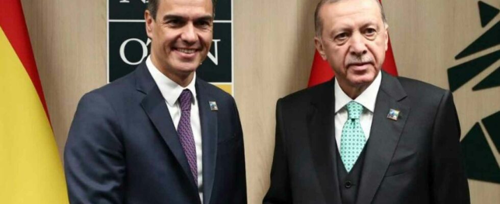 Pedro Sanchez rencontrera le president turc Erdogan jeudi prochain a