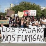 lorganisation delirante qui fait irruption en Espagne