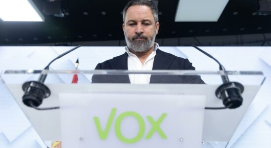 Abascal admet des divergences au sein de Vox apres les