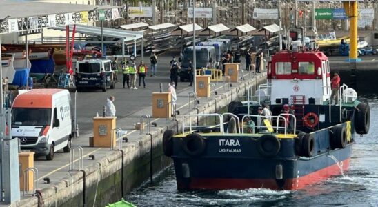 BATEAU DE DROGUES CANARIES Lequipage dun navire a betail