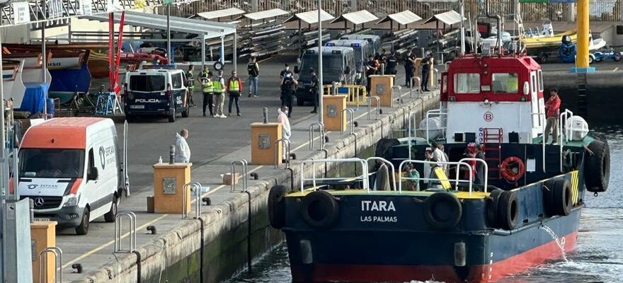 BATEAU DE DROGUES CANARIES Lequipage dun navire a betail