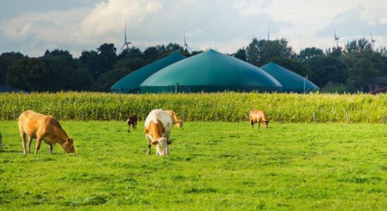 BIOMETHANE ESPAGNE La honte du biomethane en Espagne