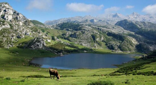 CHANGEMENT CLIMATIQUE Un rechauffement sans precedent menace les lacs