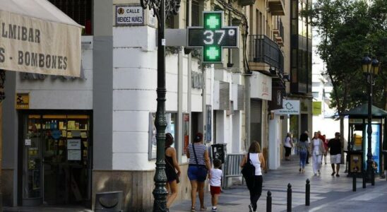 Ce sont les nouveaux avis Meteosalud pour la population vulnerable