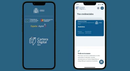 Ce sont les risques de la Cartera Digital le passeport