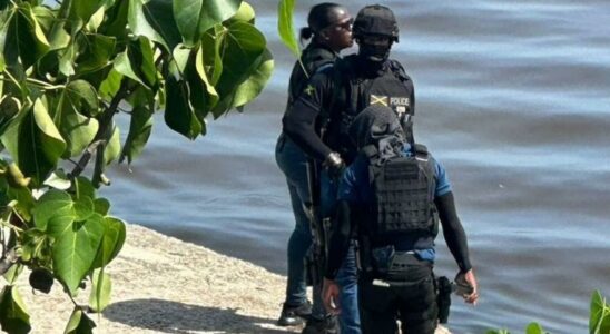 Cinq voleurs meurent dans une fusillade contre la police jamaicaine