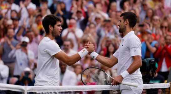 Djokovic et son regne sur le gazon de Wimbledon le