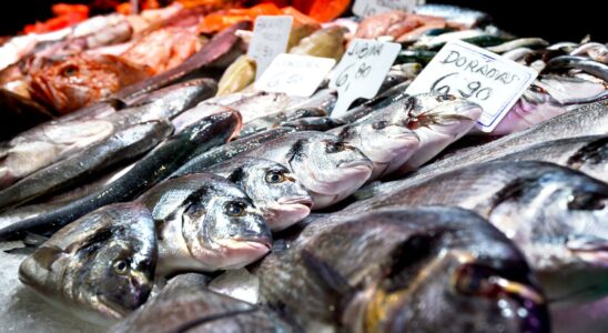 Ils ordonnent le retrait immediat de ce poisson espagnol populaire