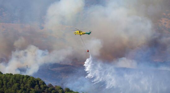 Infoca lutte par voie terrestre et aerienne contre un incendie