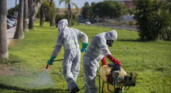 LAndalousie confirme un deces du au moustique du virus du