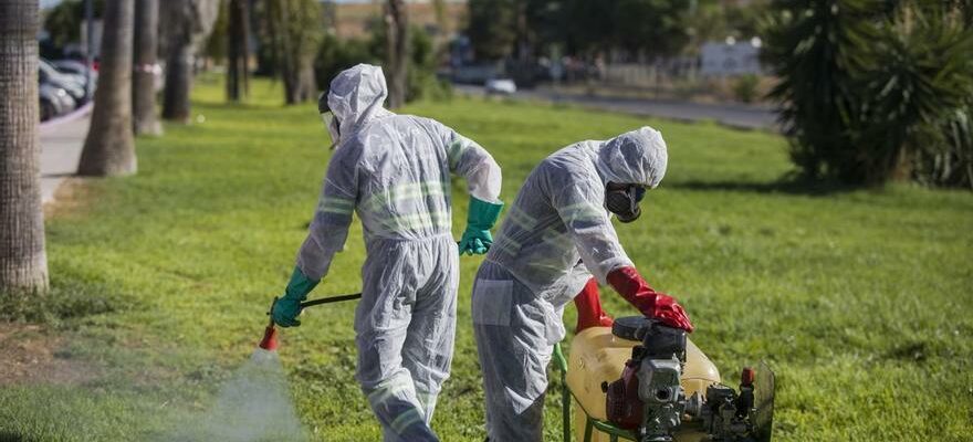 LAndalousie confirme un deces du au moustique du virus du