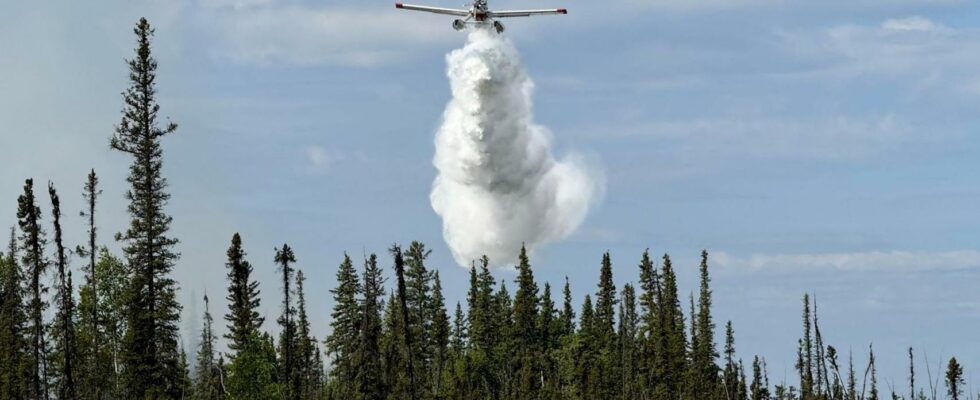 LAustralie et la Nouvelle Zelande envoient plus de 100 pompiers au