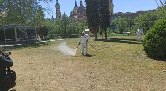 La Sante Publique notifie un cas de maladie de Lyme