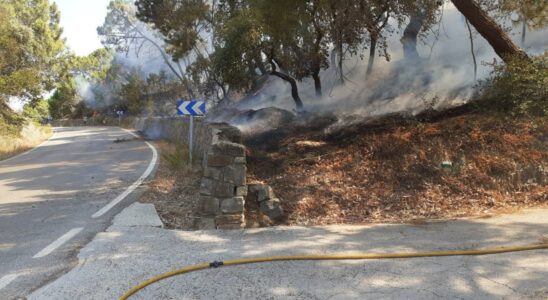 Lauteur presume de lincendie de foret declare a Casares Malaga