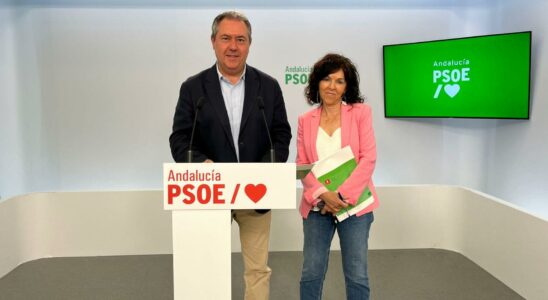 Le PSOE andalou passe a lattaque avec lERE et defend