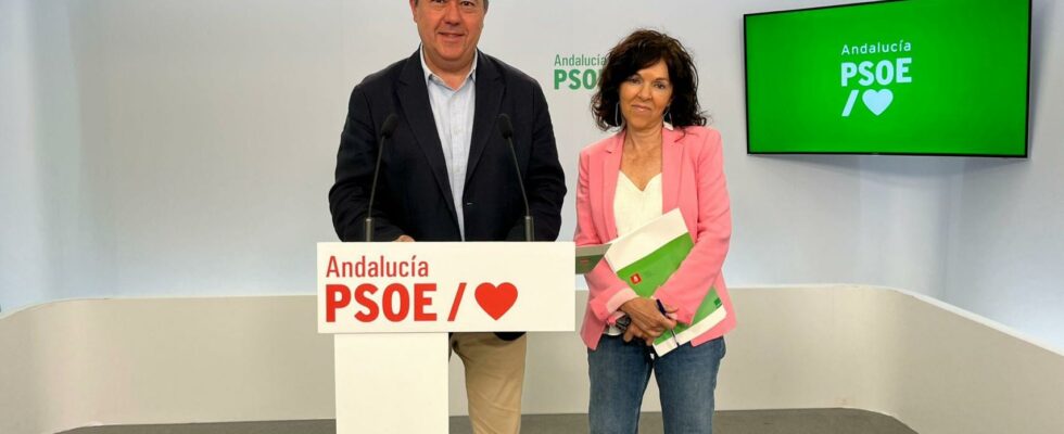 Le PSOE andalou passe a lattaque avec lERE et defend