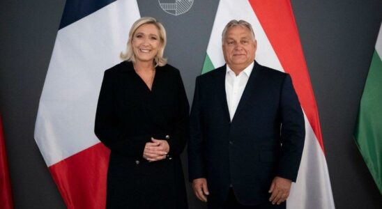 Le Pen et Salvini rejoignent le groupe dOrban qui depasse