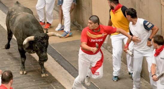 Les Miuras jouent dans une dangereuse derniere course de taureaux