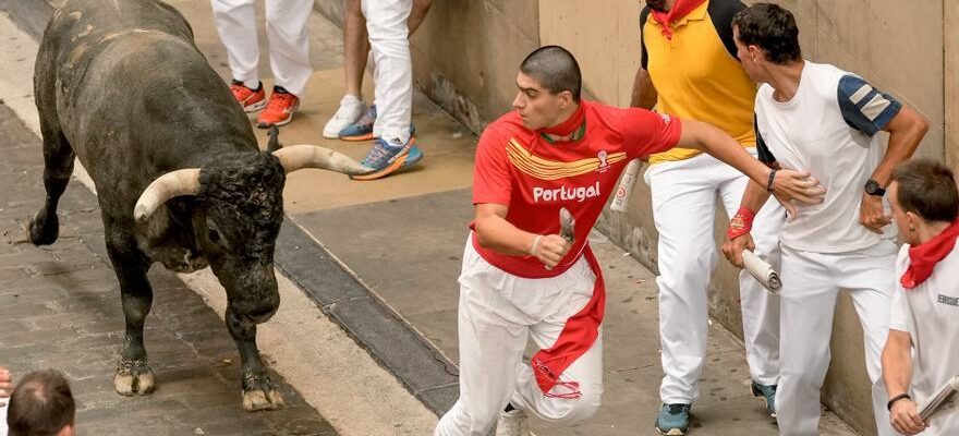 Les Miuras jouent dans une dangereuse derniere course de taureaux