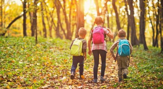 Les enfants qui vivent dans des quartiers plus verts ont