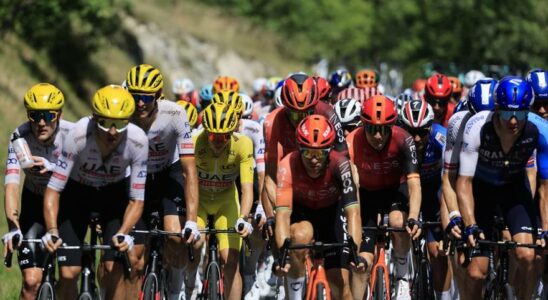 Letape 12 du Tour de France en images