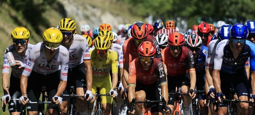 Letape 12 du Tour de France en images