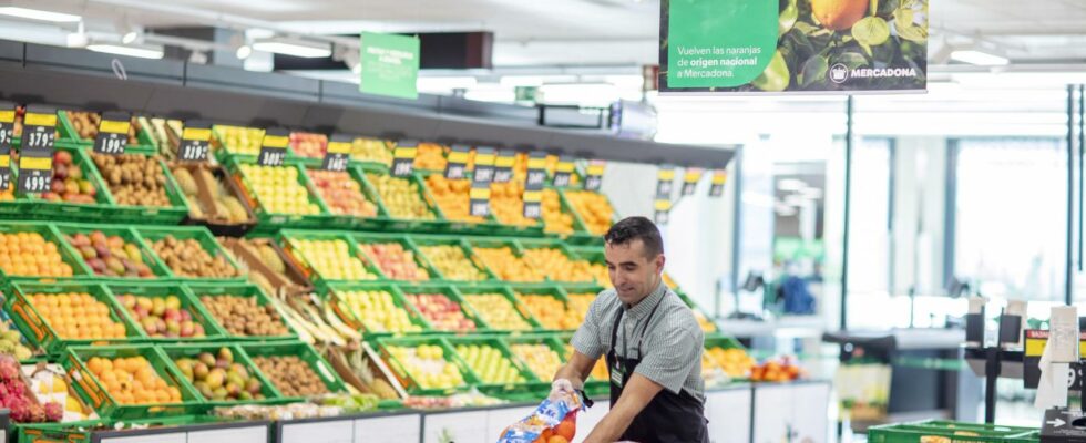 Mercadona Carrefour et Dia perpetuent la guerre des prix dans