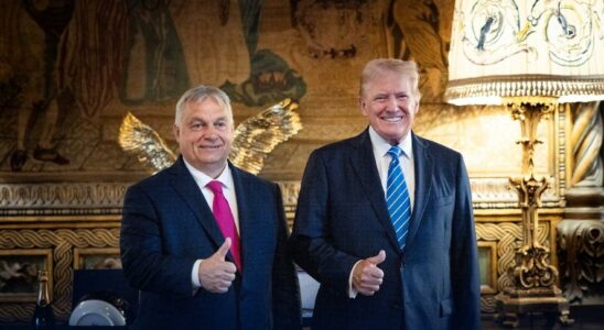 Orban rencontre Trump en Floride pour parler de paix