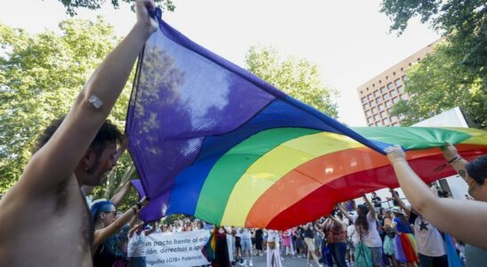 Plus dun million de personnes soutiennent la manifestation LGTBIQ Pride