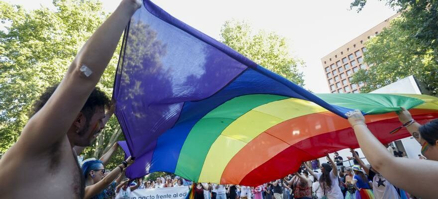 Plus dun million de personnes soutiennent la manifestation LGTBIQ Pride