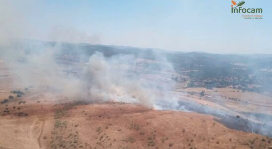 Plusieurs fermes evacuees en raison dun incendie de foret a