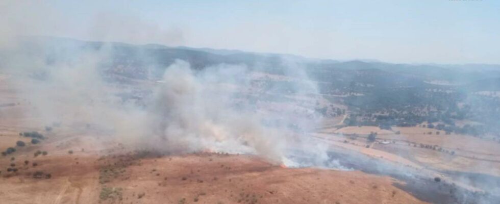 Plusieurs fermes evacuees en raison dun incendie de foret a