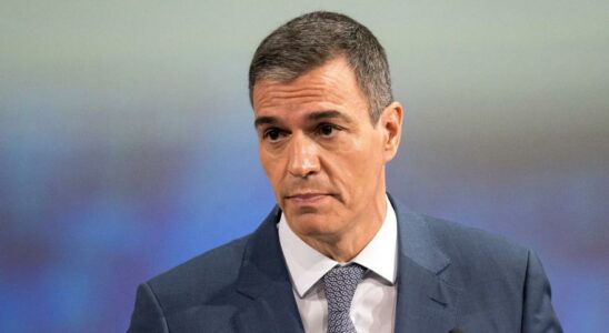 Sanchez annonce que le gouvernement proposera de limiter la publicite