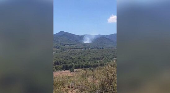 Un incendie de foret declare dans la municipalite valencienne dEstivella
