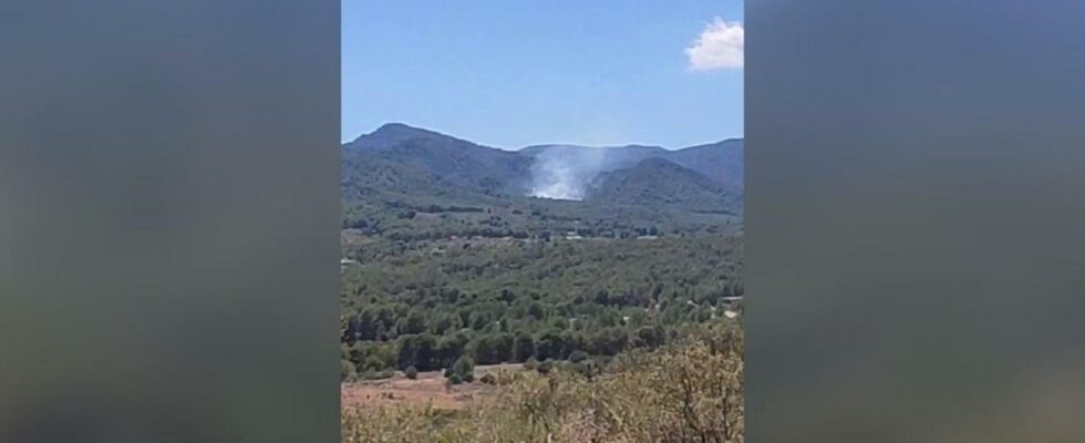 Un incendie de foret declare dans la municipalite valencienne dEstivella