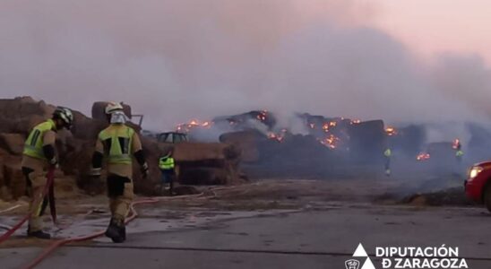 Un million de kilos de fourrage brules dans la cooperative