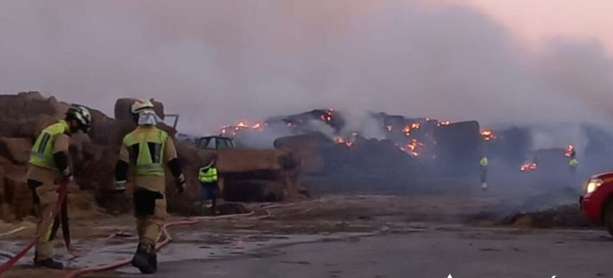 Un million de kilos de fourrage brules dans la cooperative