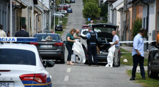 un homme tue sa mere et cinq autres personnes