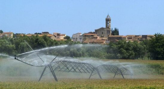 AGRICULTURE DURABLE Solution revolutionnaire ils concoivent un sol