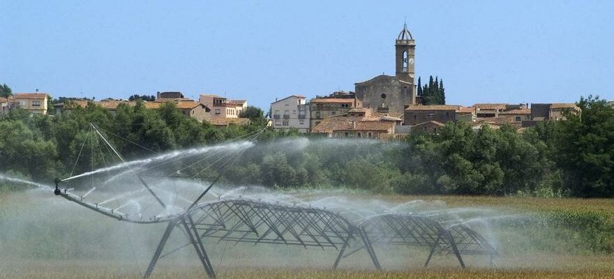 AGRICULTURE DURABLE Solution revolutionnaire ils concoivent un sol