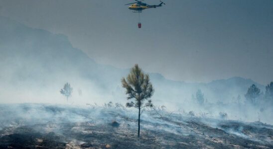 Au moins deux soldats meurent dans un accident dhelicoptere au