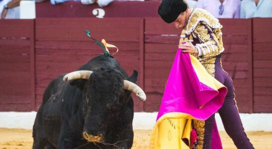 Borja Jimenez ouvre la grande porte a Tarazona et Diego