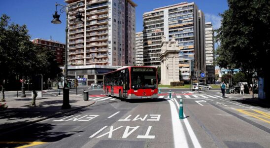 Certains touristes oublient leurs petits enfants dans un bus a