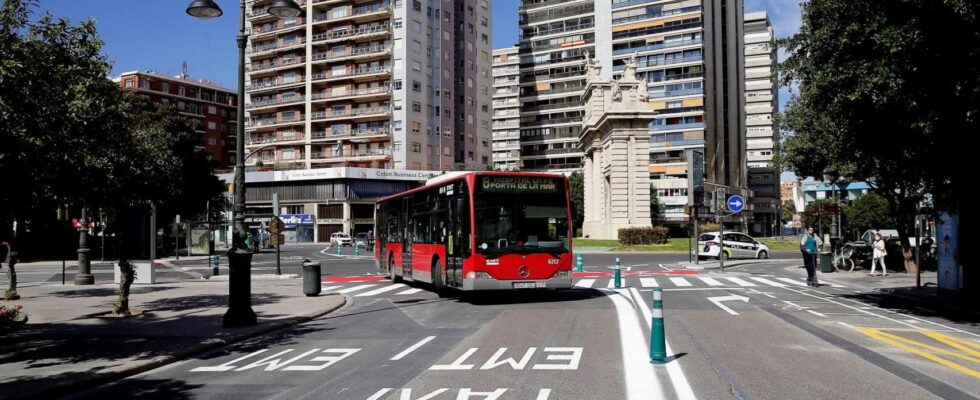 Certains touristes oublient leurs petits enfants dans un bus a