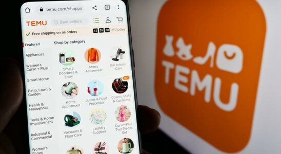 DEPOT DE SAC TEMU Le groupe proprietaire de Temu