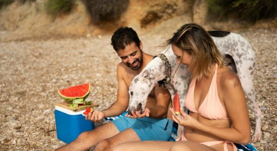 Des menus sains et savoureux pour passer la journee a