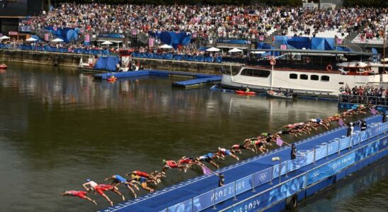 Deux triathletes malades apres setre baignes dans la Seine se