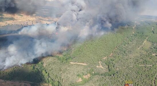 FEU DE FORET La population de Sejas de Aliste